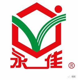 創(chuàng)意飛揚(yáng)，智造未來——石獅市首屆紙玩大賽圓滿落幕，國內(nèi)貿(mào)易代理企業(yè)彰顯創(chuàng)新力量